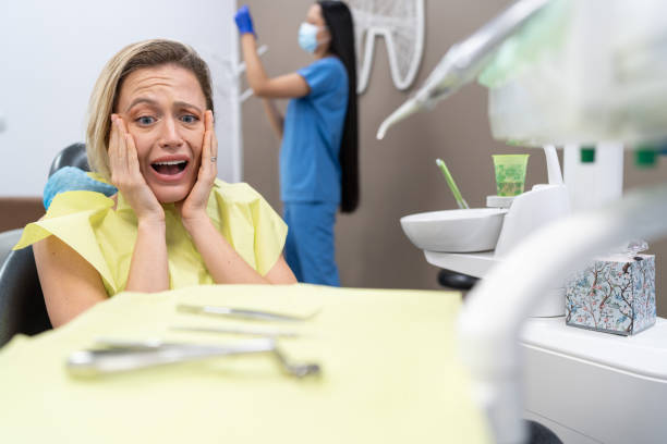 Best Chipped Tooth Repair Near Me  in Westvle, IL
